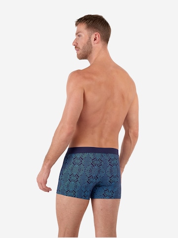Boxers ' Jay Boxer Briefs HO1 ' HOM en bleu