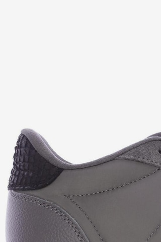 WODEN Sneakers & Trainers in 39 in Grey