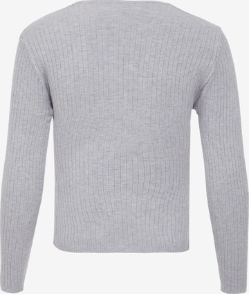 EUCALY Sweater in Grey