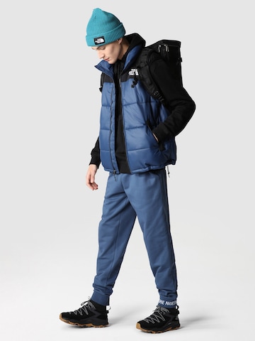 THE NORTH FACE Vest in Blue