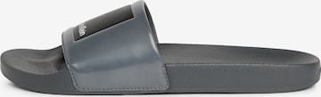 Calvin Klein Pantolette in Grau: predná strana