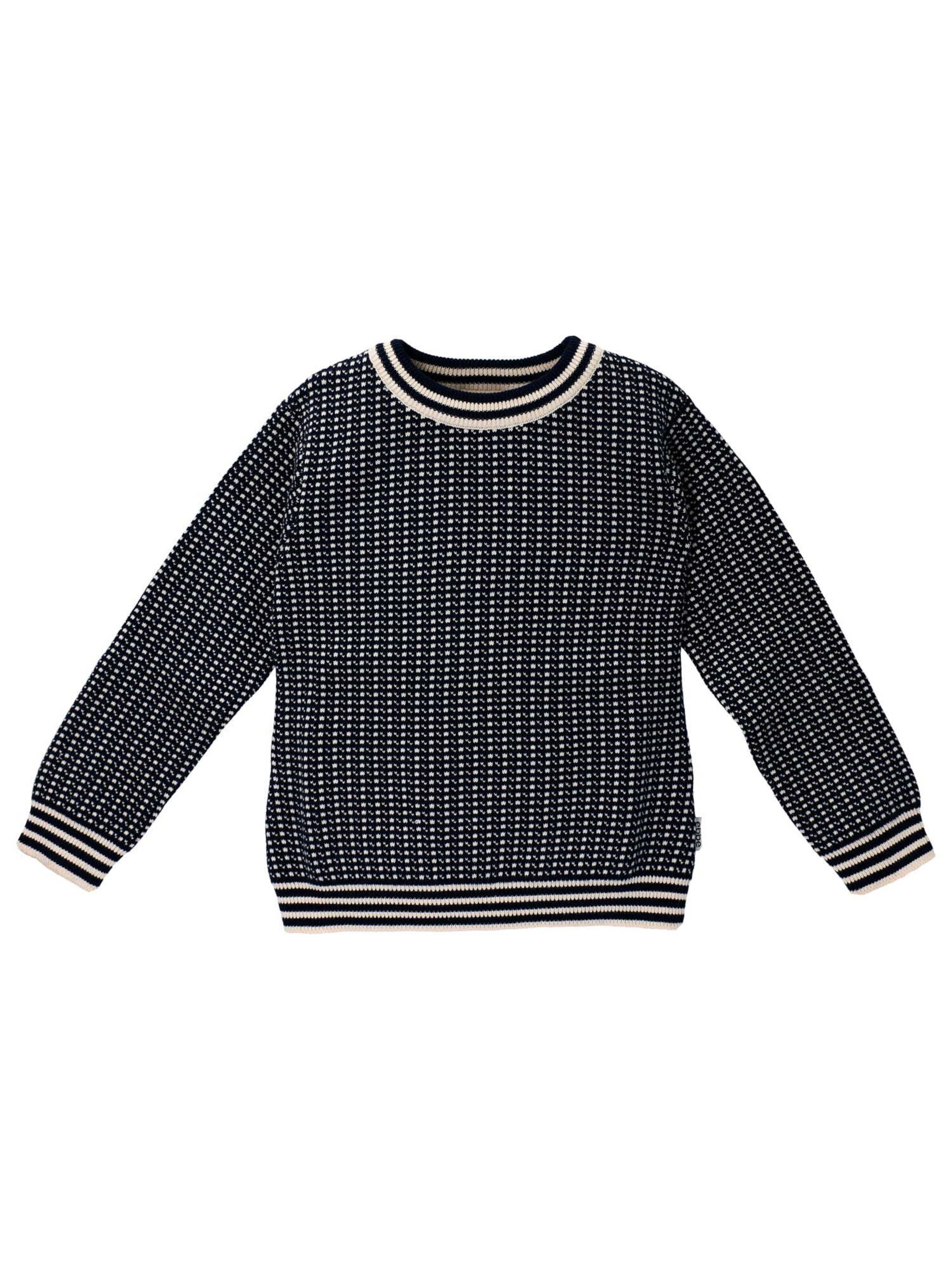 Ebbe Pullover in Blau: Vorderseite
