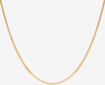 P D PAOLA Necklace in Gold: front