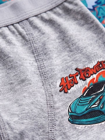 ÖTSGaće 'ÖTS Herren-Boxershorts' - siva boja