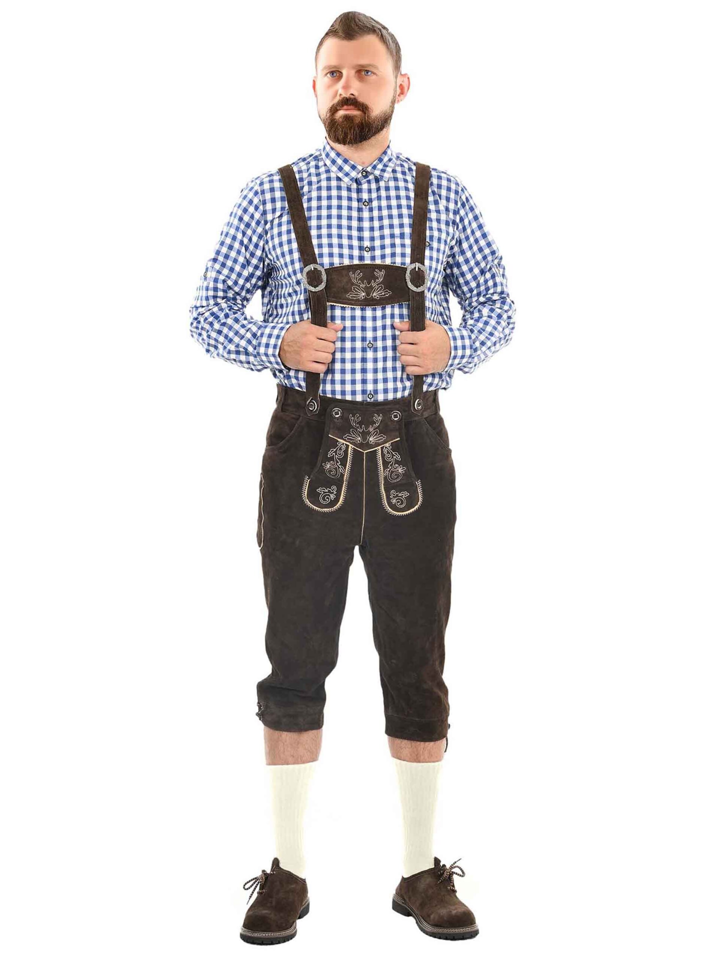 Alessandro Salvarini Regular Traditional pants in Brown: front