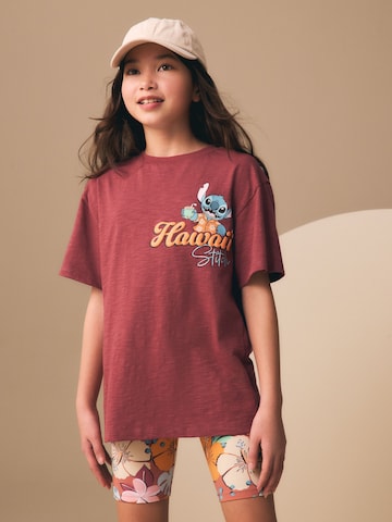 Set di Next in marrone: frontale