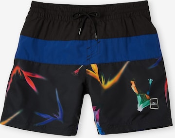 O'NEILL Board Shorts in Blue: front