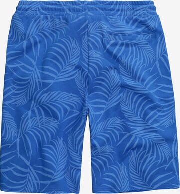 JP1880 Regular Pants in Blue