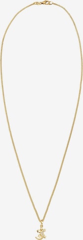 Chaîne 'Eidechse' ELLI en or : devant