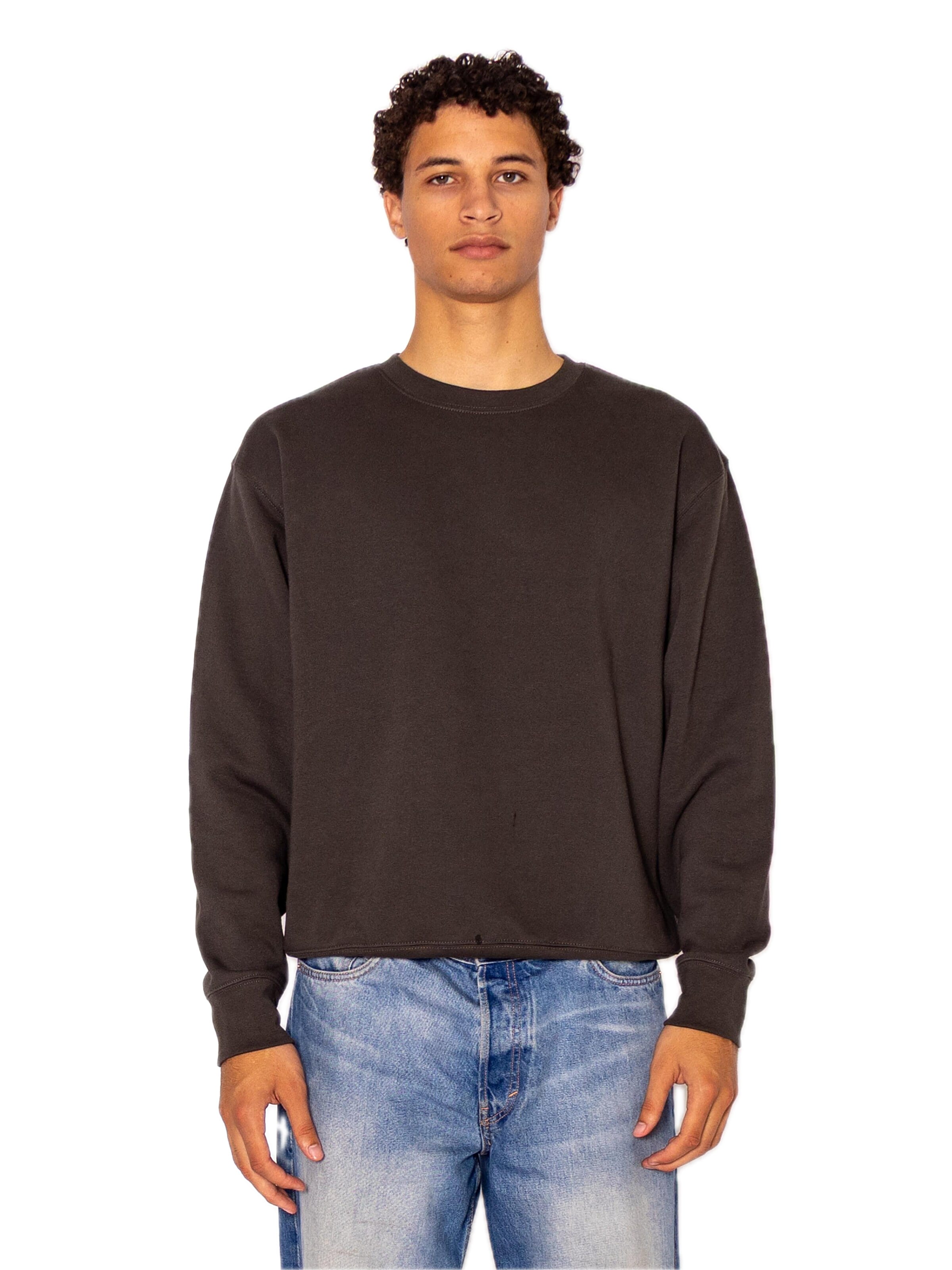 Felpa 'Crewneck sweatshirt' di FRUIT OF THE LOOM in grigio