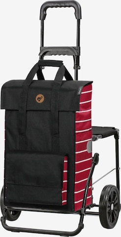 Trolley 'Jella' di Andersen Shopper in nero: frontale