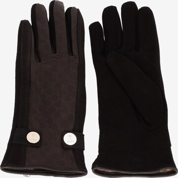 JOOP! Full Finger Gloves in Black: front