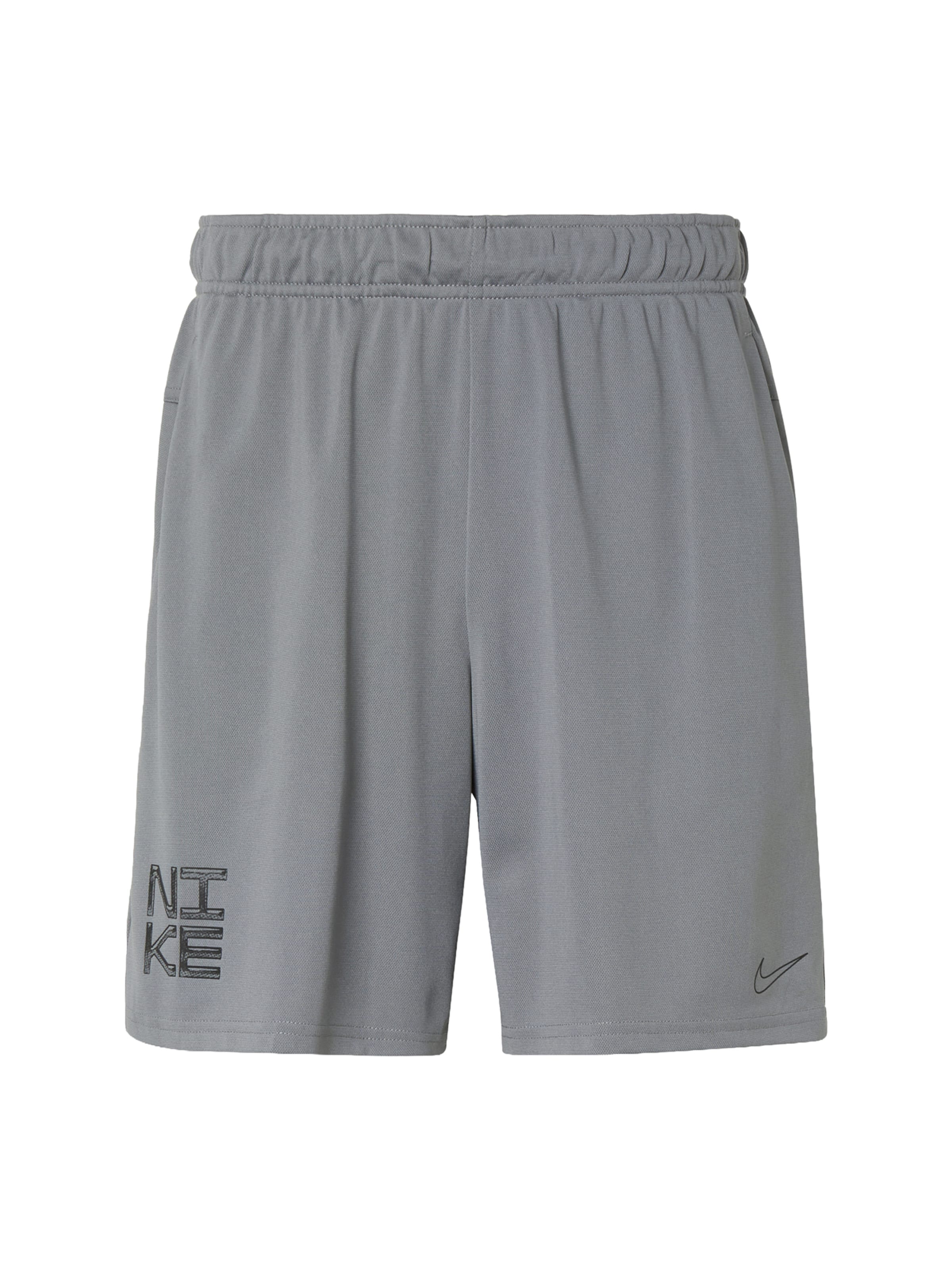 Regular Pantalon de sport 'Flex' NIKE en gris : devant