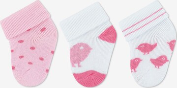 STERNTALER Socks in Pink: front