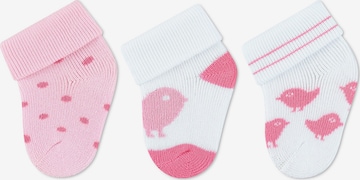 STERNTALER - Calcetines en rosa: frente
