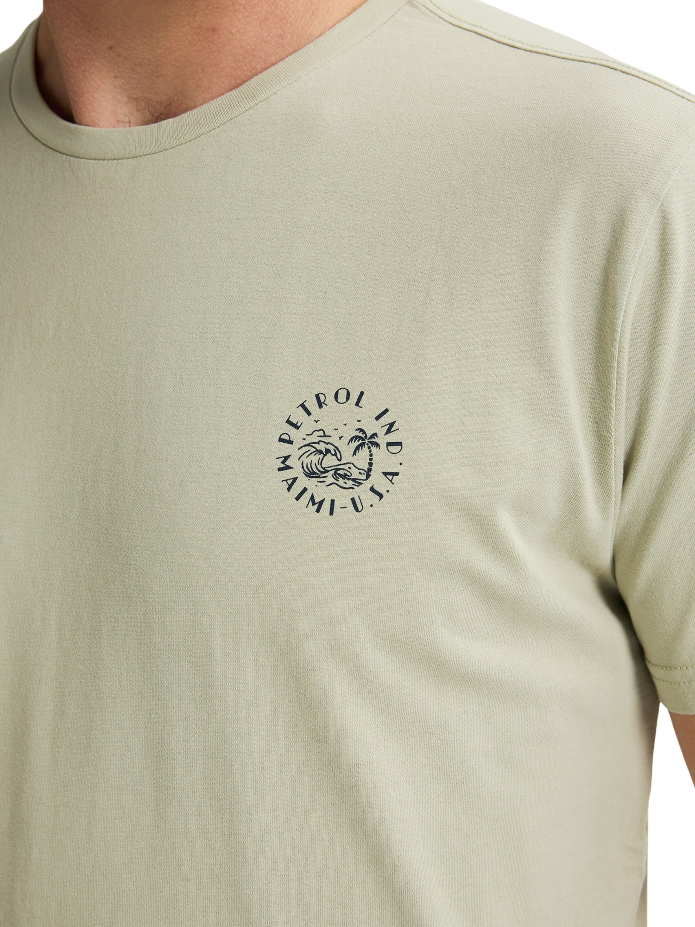 Petrol Industries T-Shirt in Grün