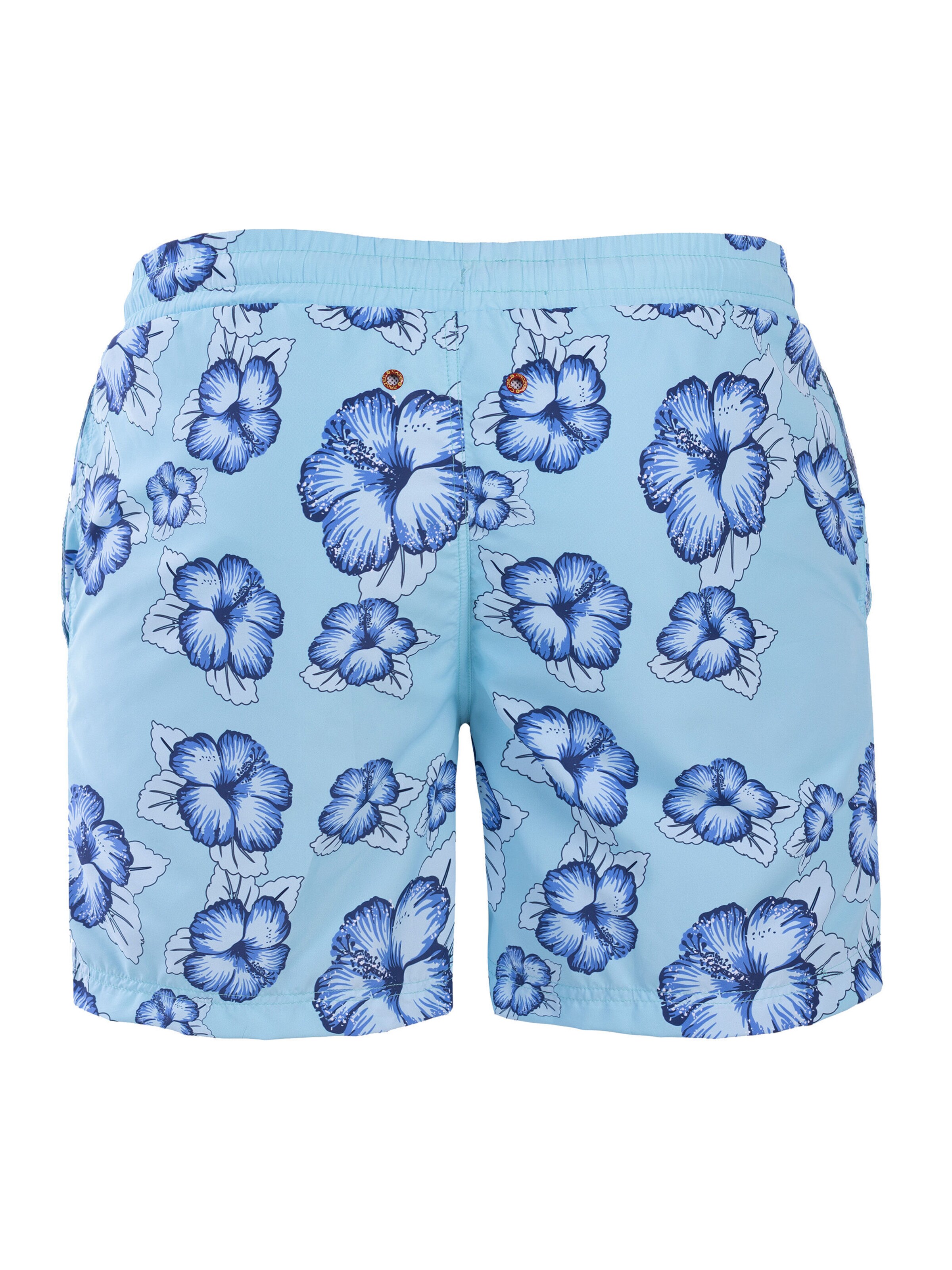 Frozen Cape Swimming Trunks in Blue