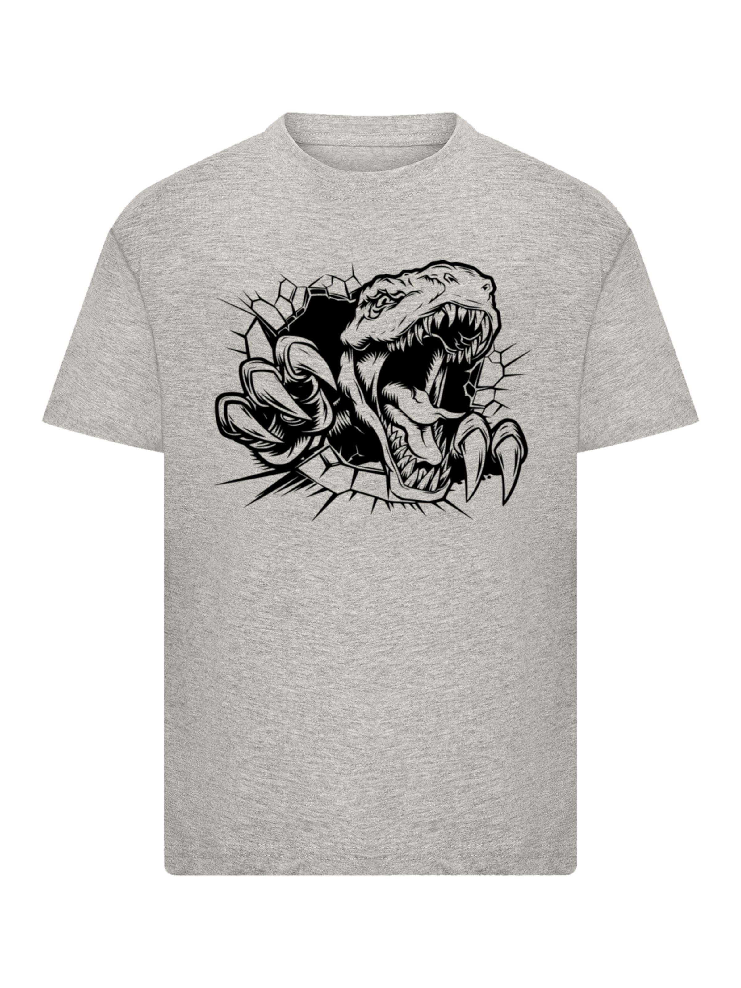 F4NT4STIC Shirt 'T Rex Burst Adventure' in Grey: front