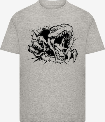 F4NT4STIC Shirt 'T Rex Burst Adventure' in Grey: front