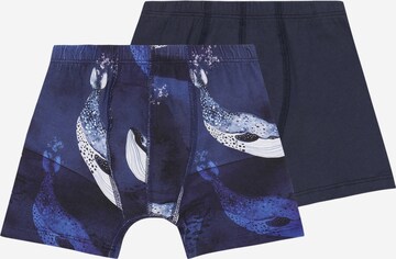 Walkiddy Underpants 'Whales' in Blue: front