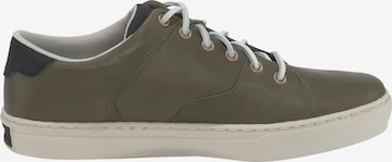 Sneaker bassa di TIMBERLAND in verde