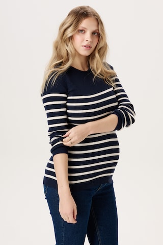 Noppies Trui in Blauw: voorkant