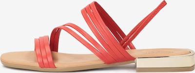 Sandalo con cinturino Kazar di colore melone, Visualizzazione prodotti