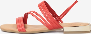 Kazar Sandalen met riem in Rood: voorkant