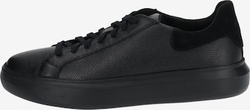 GEOX Sneaker in Schwarz