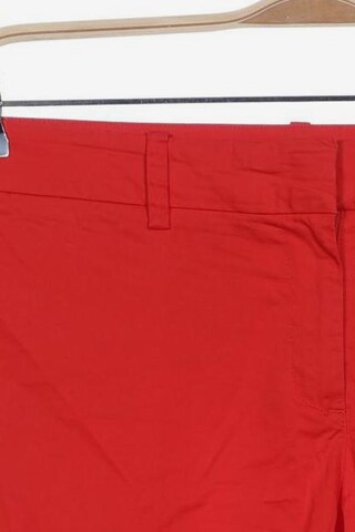 NAUTICA Shorts XL in Rot