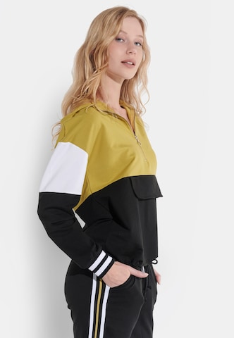 Vestino Sweatshirt in Gemengde kleuren: voorkant