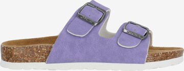 Cruz Sandals 'Whitehill' in Purple