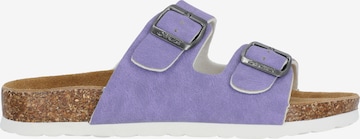 Cruz Sandals 'Whitehill' in Purple