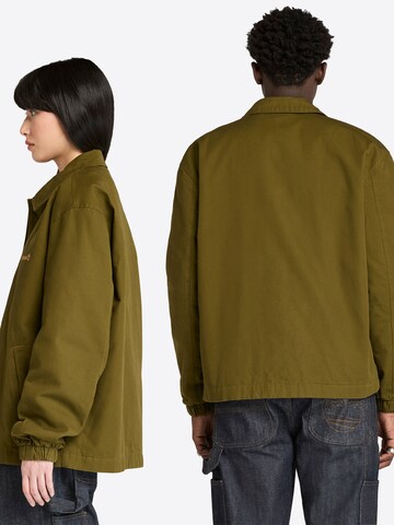 Veste mi-saison TIMBERLAND en vert