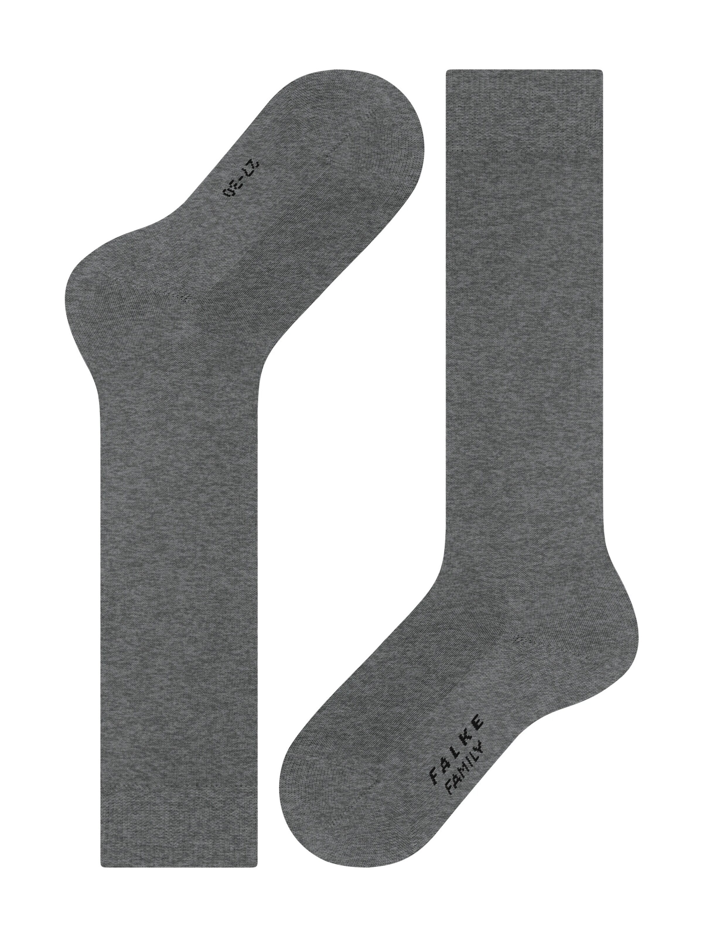 FALKE Socks 'Family' in Grey