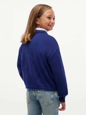 TOMMY HILFIGER Sweater in Blue