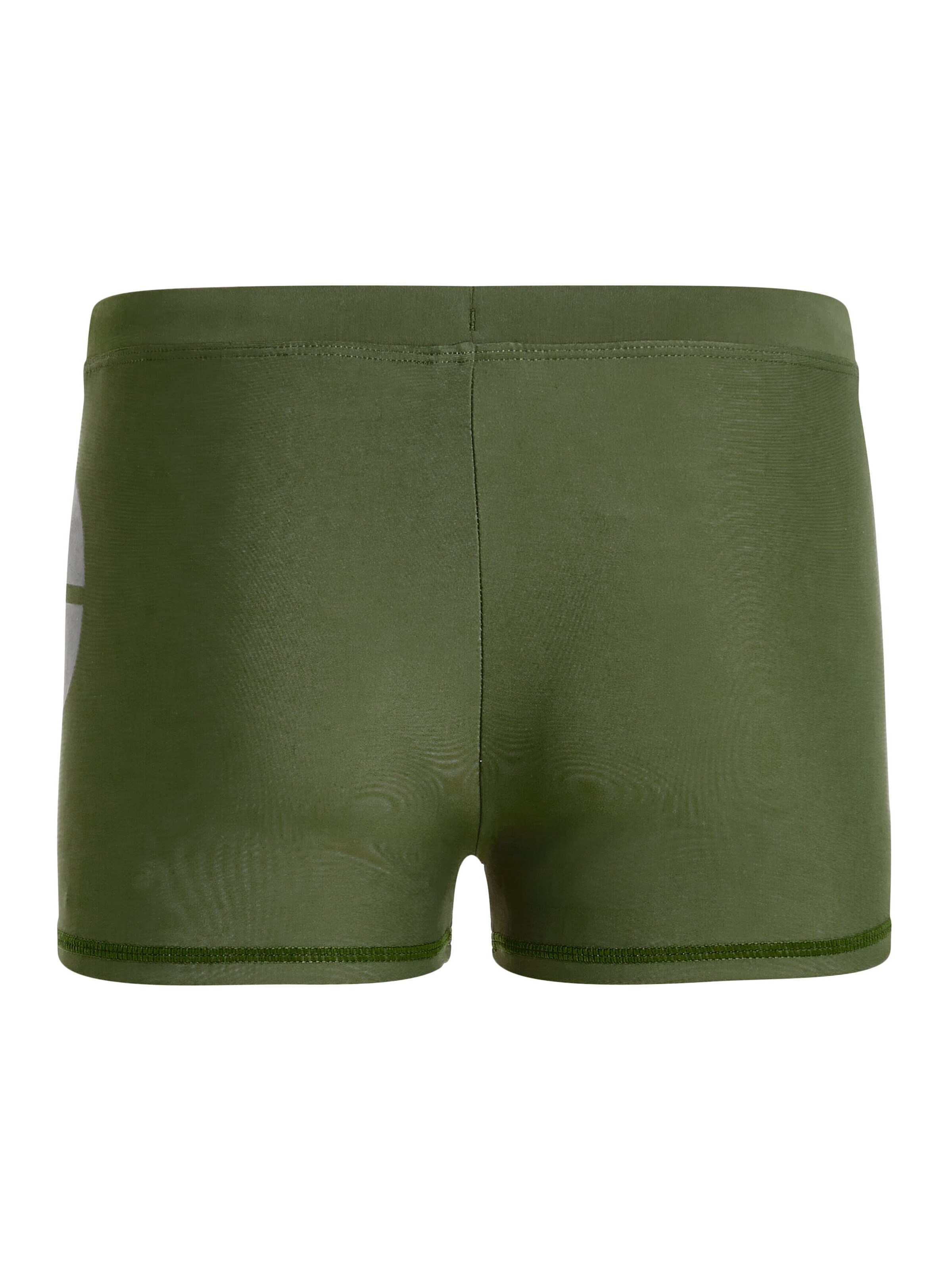 PROTEST Zwemshorts 'CARST JR' in Groen