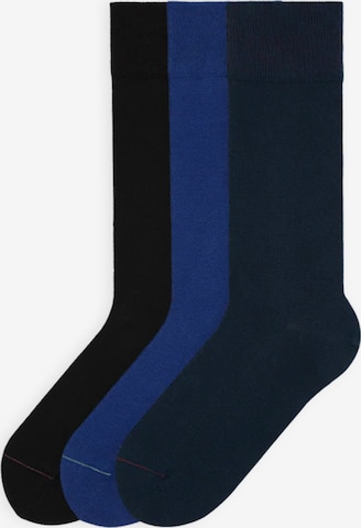 Von Jungfeld Socks 'Signature Innenbund' in Blue: front
