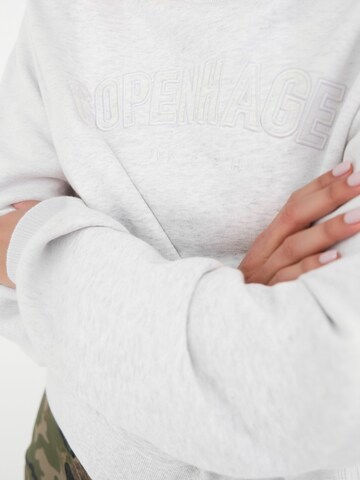 Ivy Copenhagen - Jersey ' IVY-Suki ' en gris