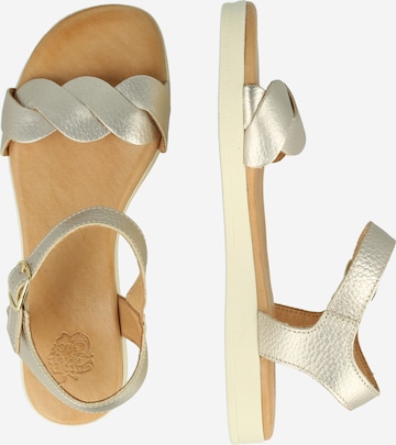 Apple of Eden - Sandalias con hebilla 'Inez' en oro