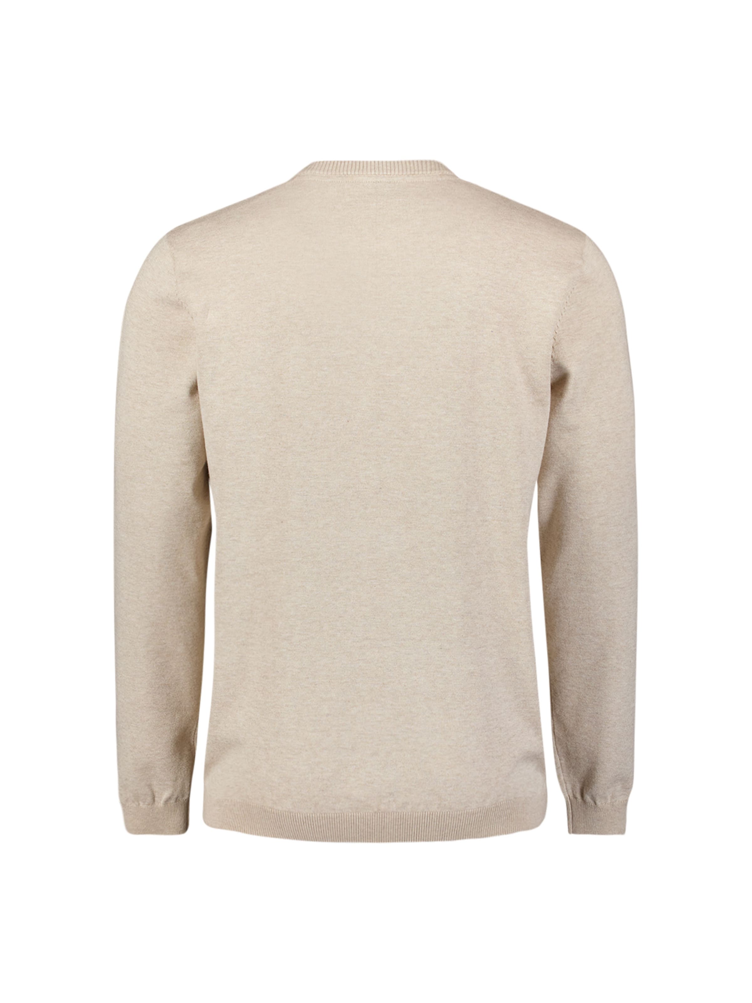 No Excess Sweater in Beige
