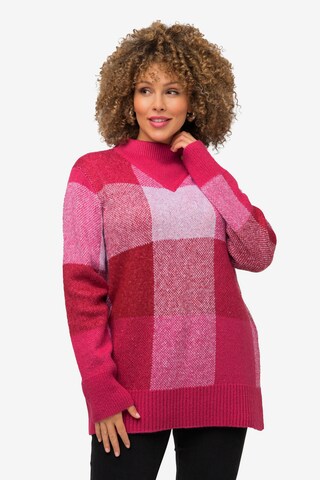 Ulla Popken Sweater in Pink: front