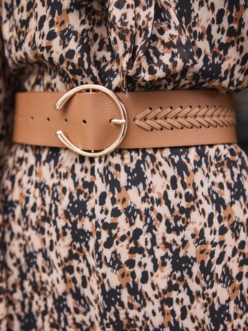 Next Belt in Brown