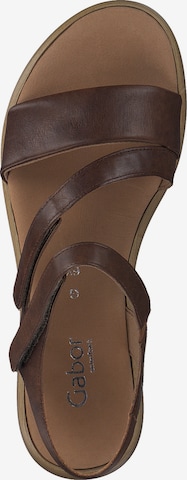 GABOR Sandals 'Comfort' in Brown
