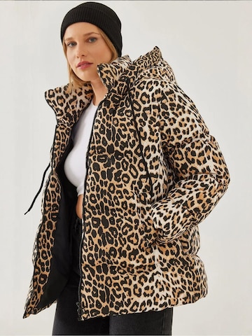 Bianco Lucci Jacke in Beige