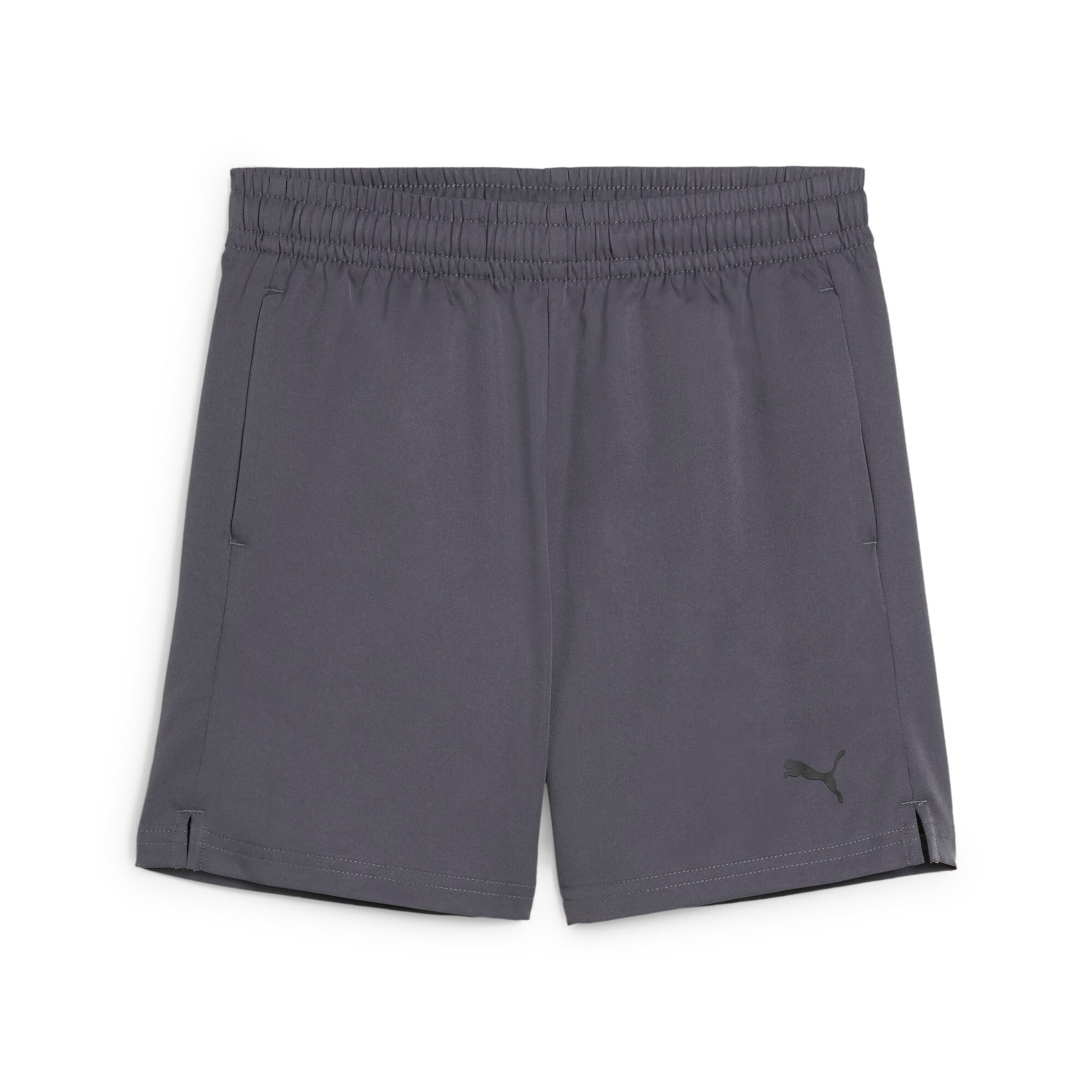 PUMA Workout Pants 'Tad Ess' in Grey: front