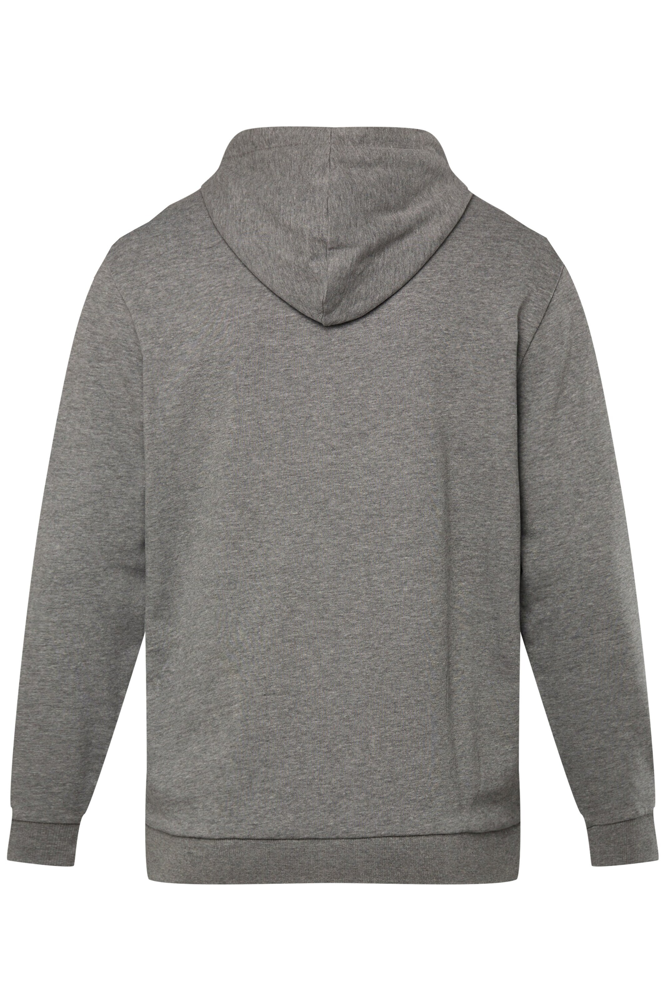 Men Plus Sweatshirt in Grijs