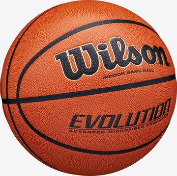 WILSON Ball 'EVOLUTION' in Braun