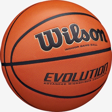 WILSON Ball 'EVOLUTION' in Brown