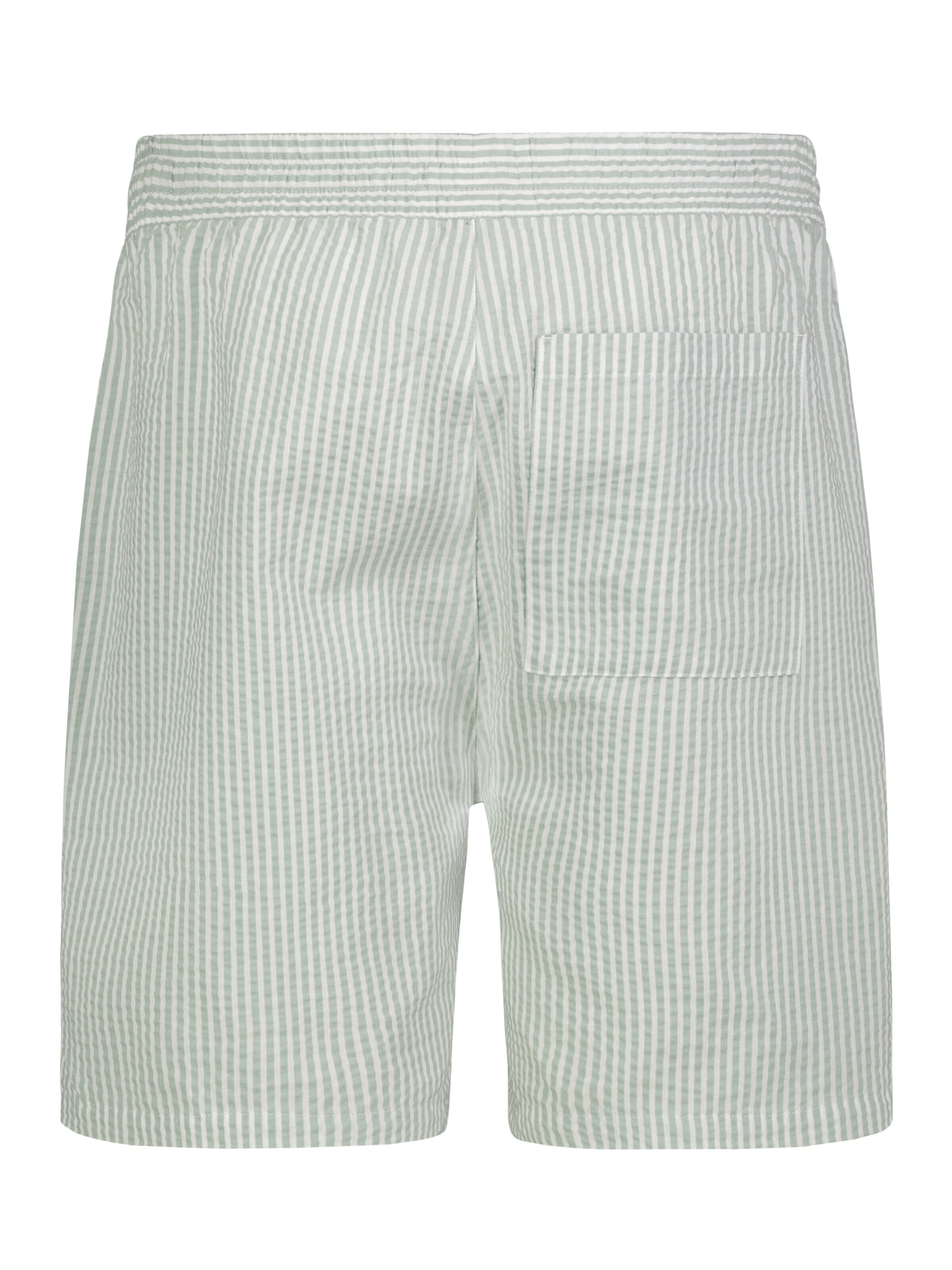 Sublevel Regular Shorts in Grün